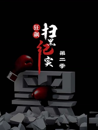 狂飙—扫黑纪实2