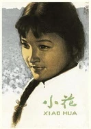 适合做前看的MV动漫